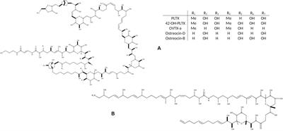 Chemical Ecology of the Benthic Dinoflagellate Genus Ostreopsis: Review of Progress and Future Directions